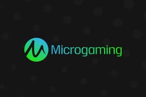 Microgaming Casinos that Accept PayPal